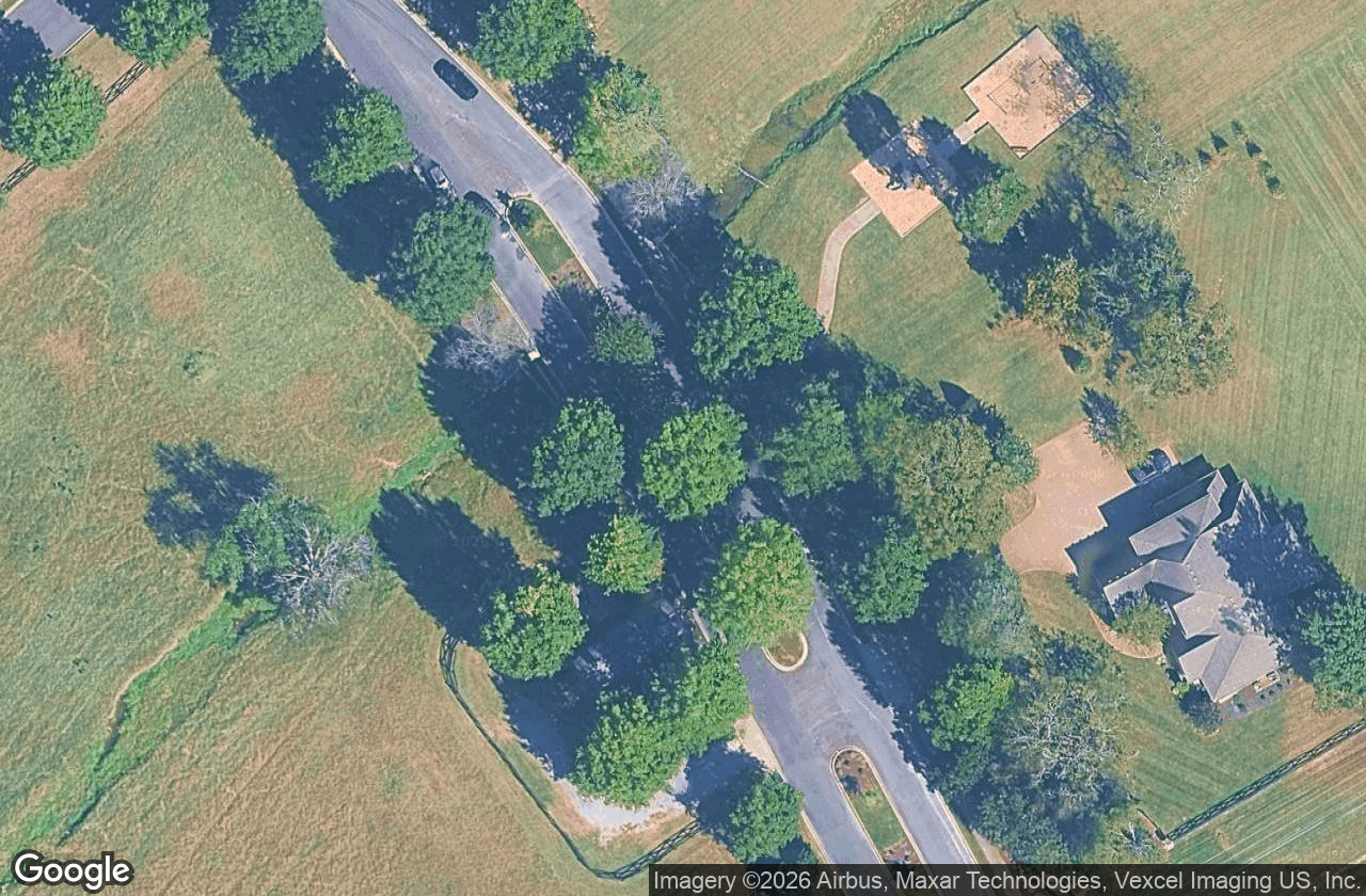 Estate lots under mature trees from above.